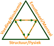 driehoek.png